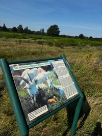 240827NaturparkWahnerHeide