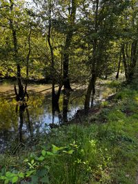 240827Wasserinwahnerheide